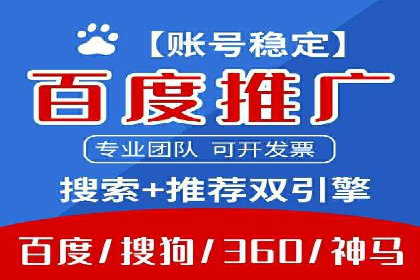竞价广告在XX行业的成功应用案例