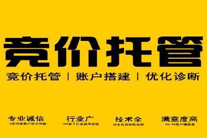 SEM代运营成功案例：助力企业业绩增长