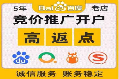 案例展示：SEM推广助力品牌知名度提升